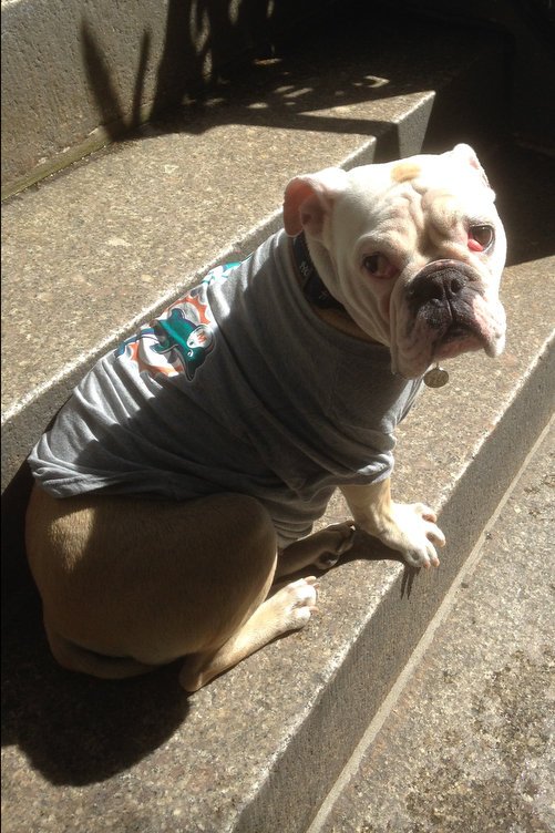 Hank